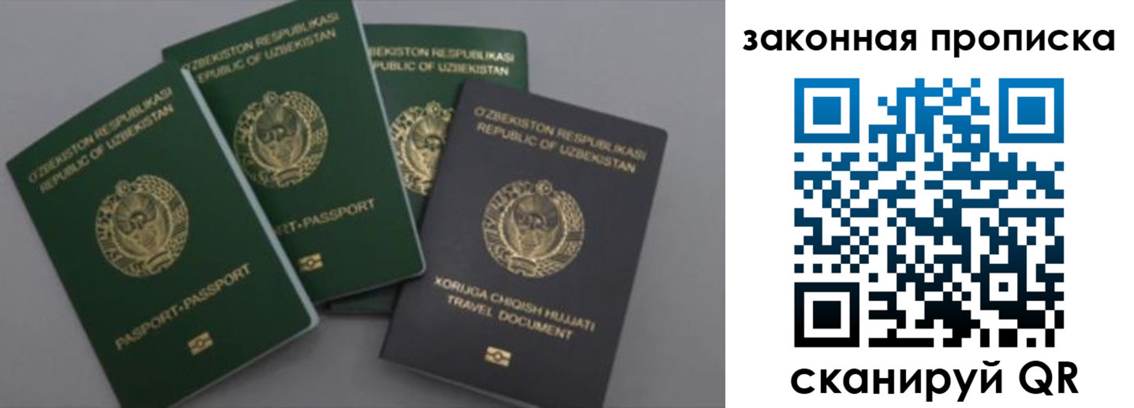 прописка законно в Дигоре